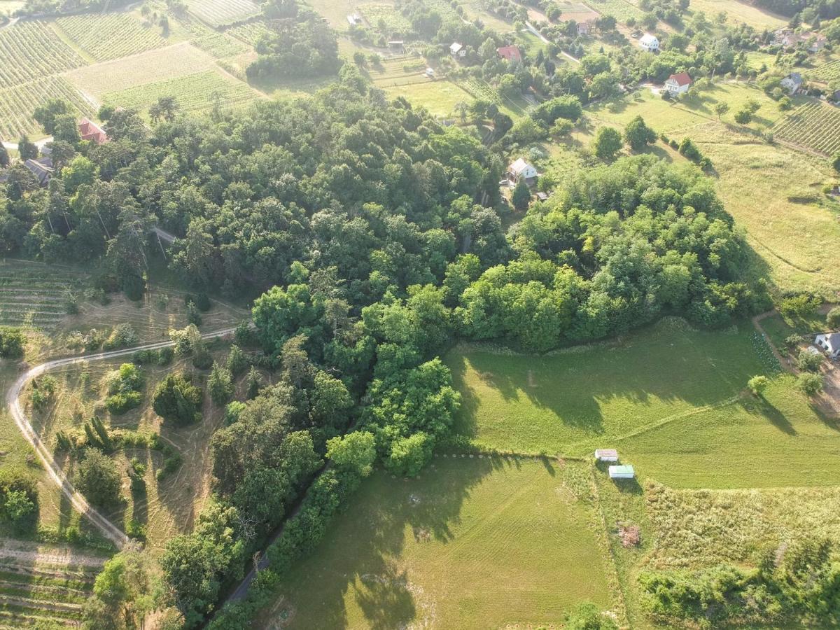 Pilikan Apartments - Park, Agroturism, Vineyard & Farm Черсектомай Екстериор снимка