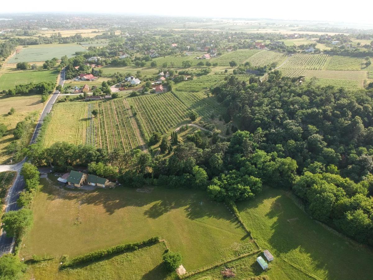 Pilikan Apartments - Park, Agroturism, Vineyard & Farm Черсектомай Екстериор снимка